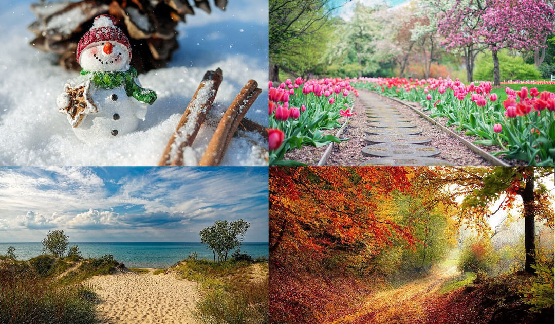 Four Seasons