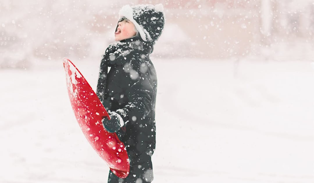 Kid Snow Sled