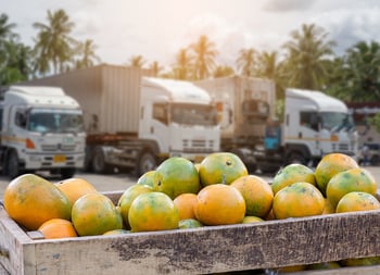 freight produce season